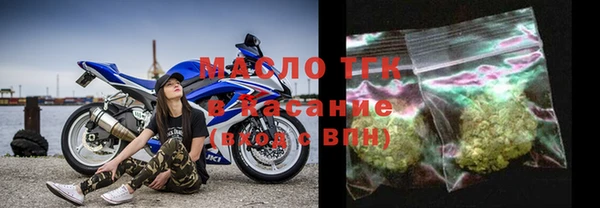 индика Заводоуковск