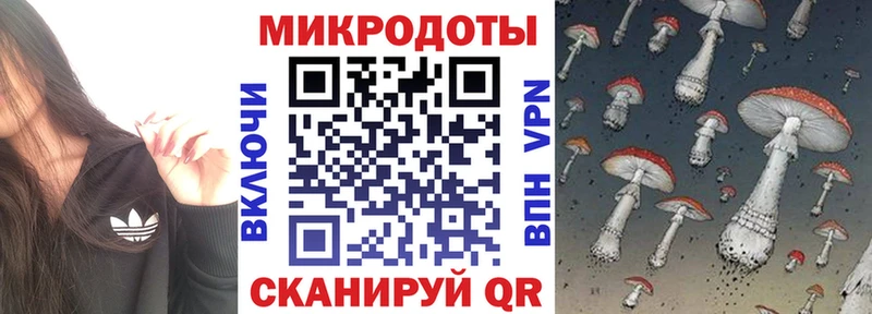 Псилоцибиновые грибы Magic Shrooms  Купить где  Агрыз 